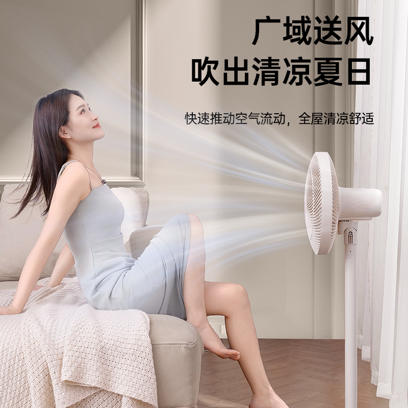 夏普台地两用落地扇PJ-CD203A