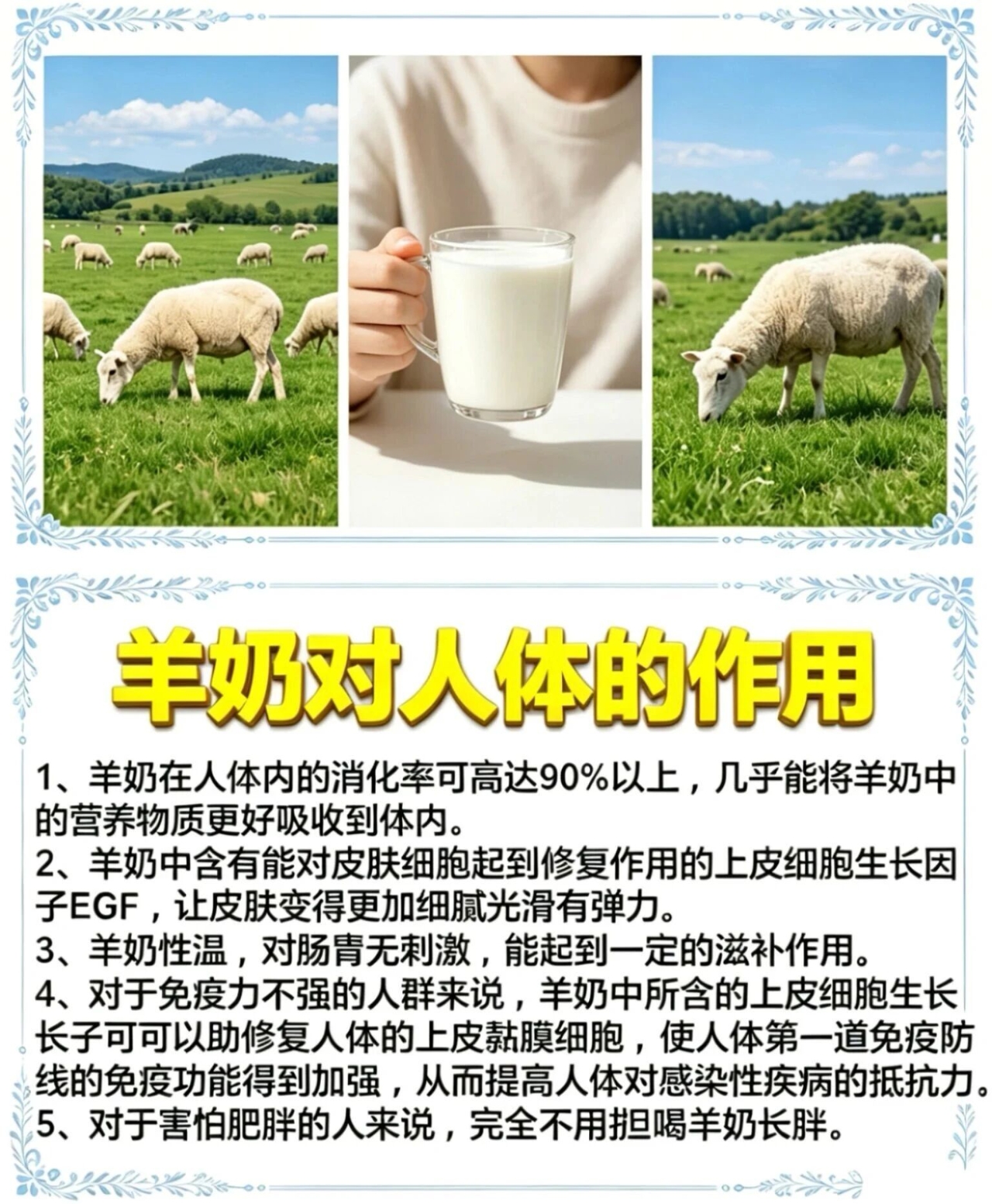 羊奶对人体的作用 1、羊奶在人体内的消化率可高达90%以上。 2、羊奶温性，对肠胃无刺激，能起到一定 配图